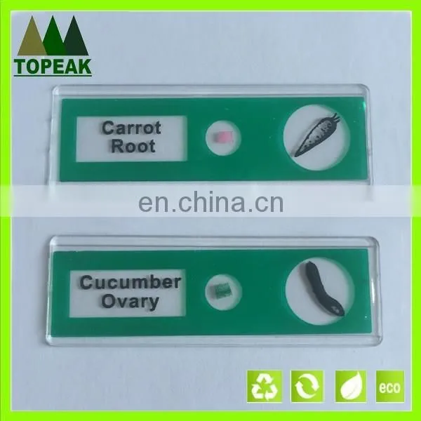 Vegetable type plant serial plastic Microscope prepared Slides
