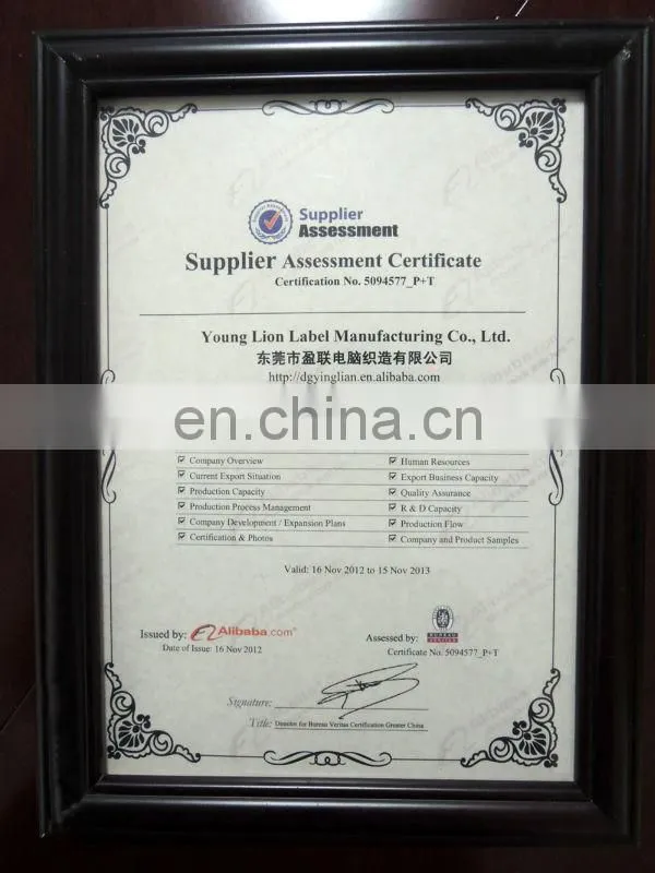 Garment bullion fashional patch nice brand logo patches
