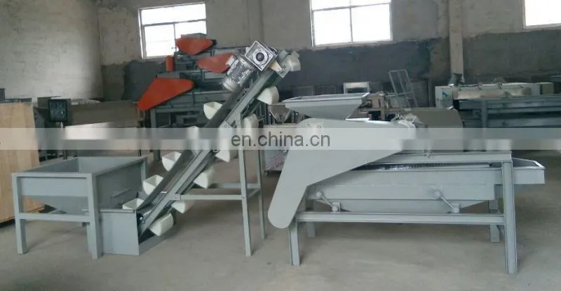 Almond hazelnut shell cracking machine shelling production line 500kg