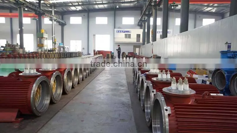 Three-phase Electric Asynchronous AC Motor 75KW