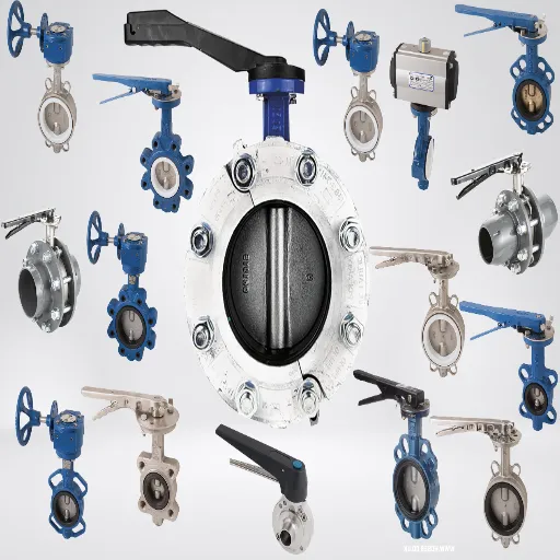 Types of Butterfly Valves and Their Applications.png