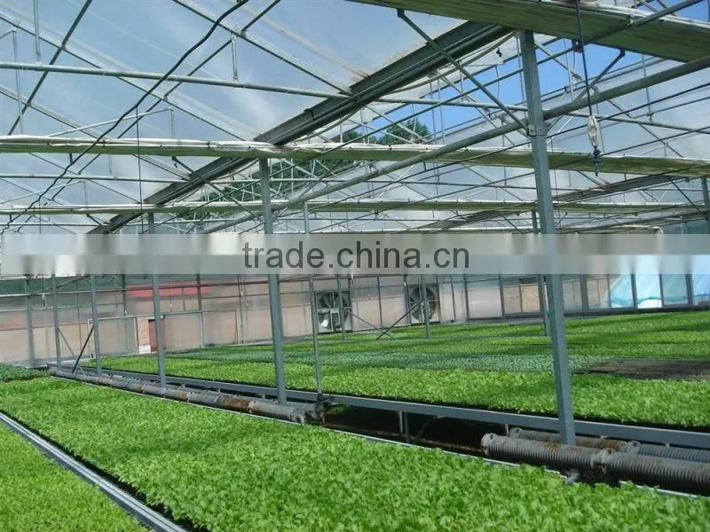 polycarbonate sheet