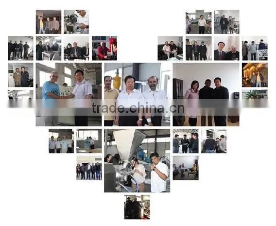 factory direct supply professional korean bean coating equipment manufacture