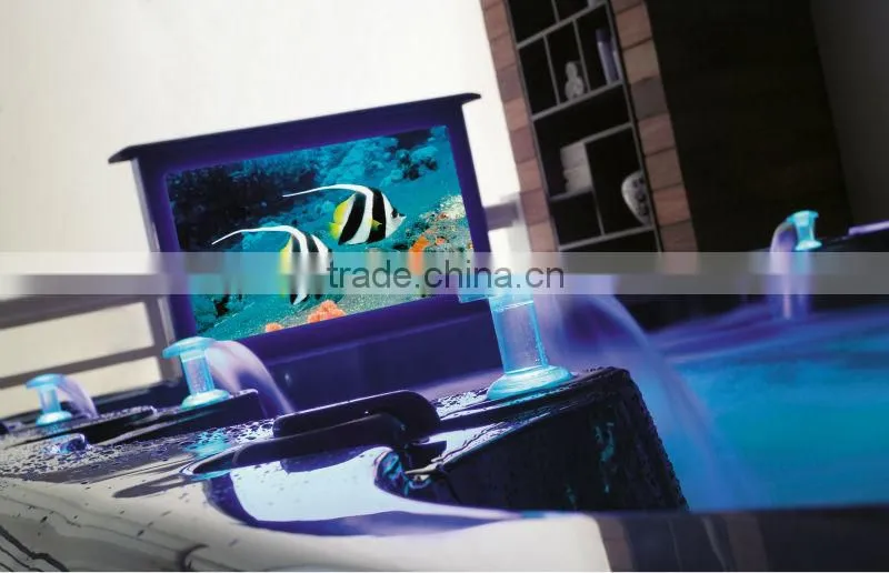 swimming spa bathtub WS-S04X