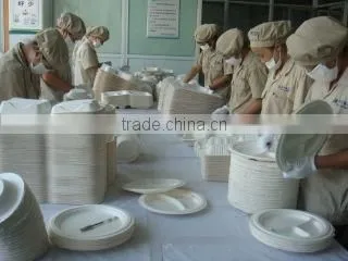 Wenzhou Keyi Environmental Protection Tableware Co., Ltd. company overview - view 2