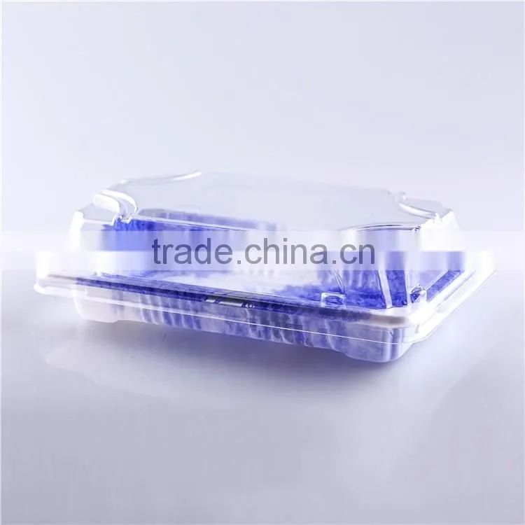 Hot And New Disposable Plastic Sushi Take Out Container