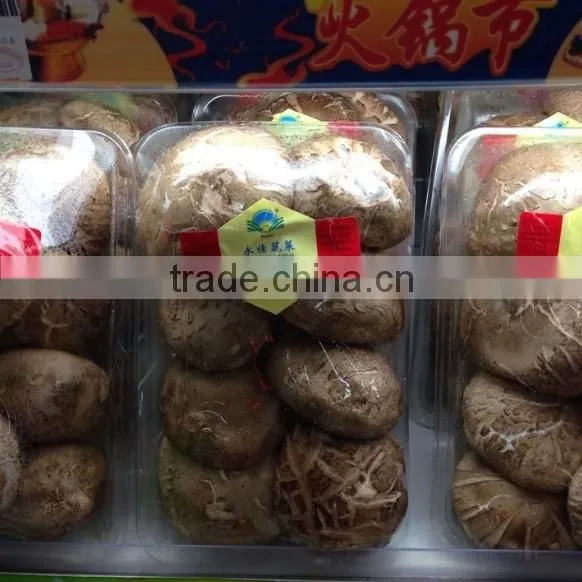 vegetables packaging tray