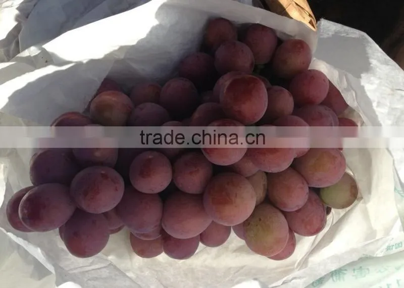 Red global grape/Red grape/Bulk grape