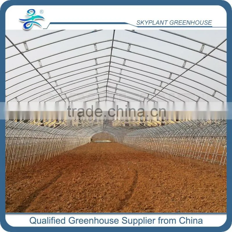 Single Span Tunnel Plastic Film Greenhouse