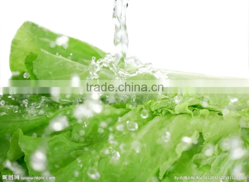 Vegetable washing machine