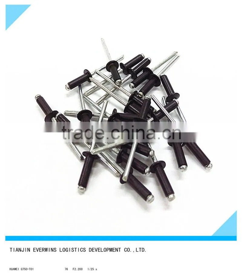Black color Blind rivet