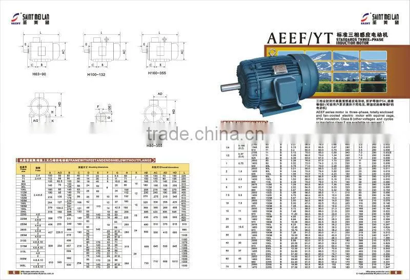 50Hz Newest Synchronous Motor
