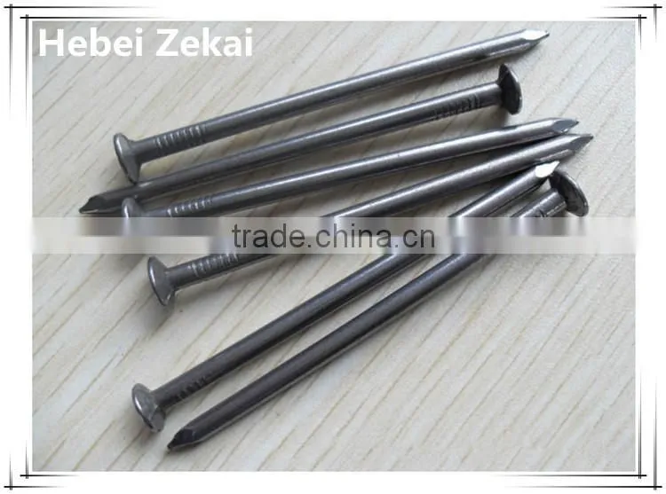 high quality commom nails China manufacturer