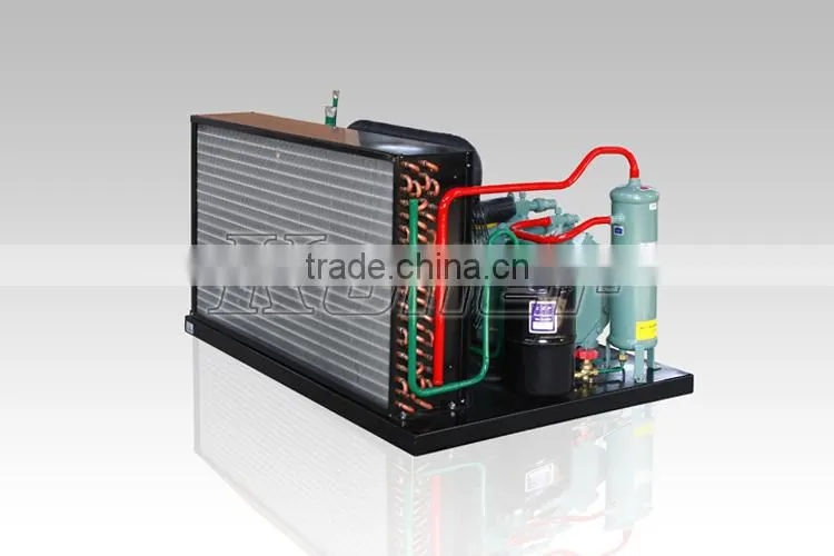 Koller hot sale small capacity cold storage room with refrigerators for fruits VCR20
