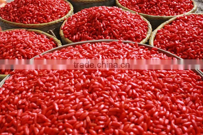 wolfberry on sale