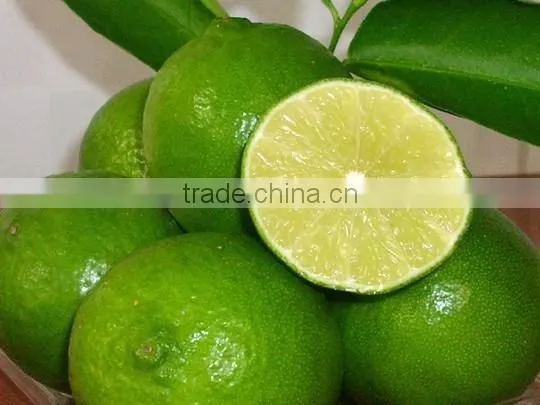 FRESH SEEDLESS LIME