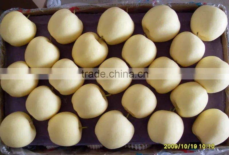 Golden Apple