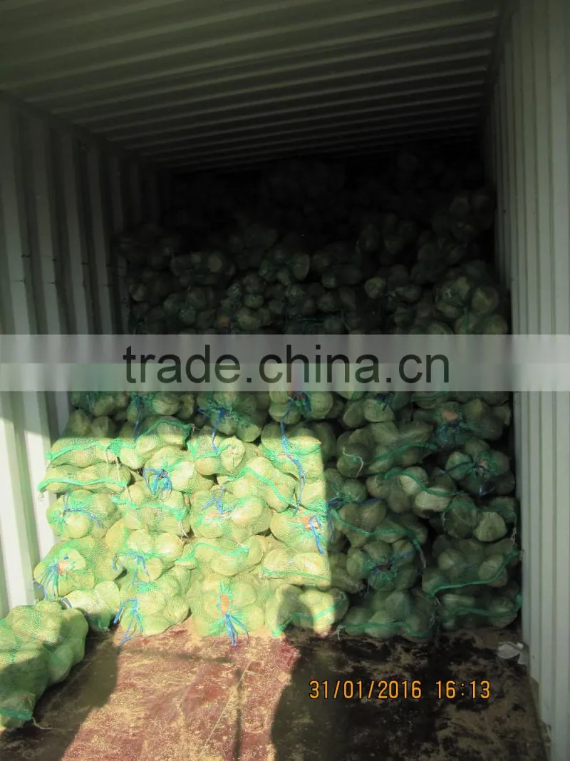 vietmam semi husk mature coconut, best quality, cheap price