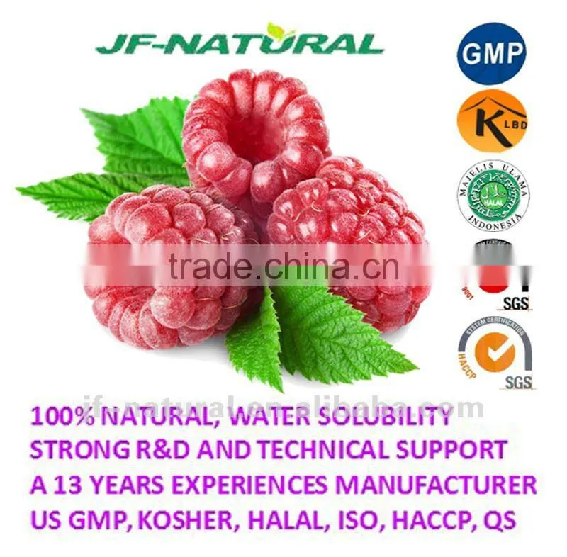 food grade raspberry powder manufacture ISO, GMP, HACCP, KOSHER, HALAL certificated