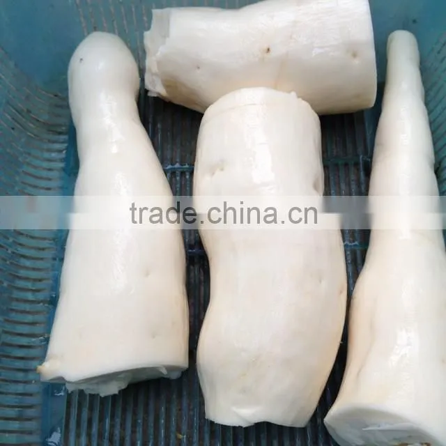 cassava peeler and slicer /cassava peeling machine
