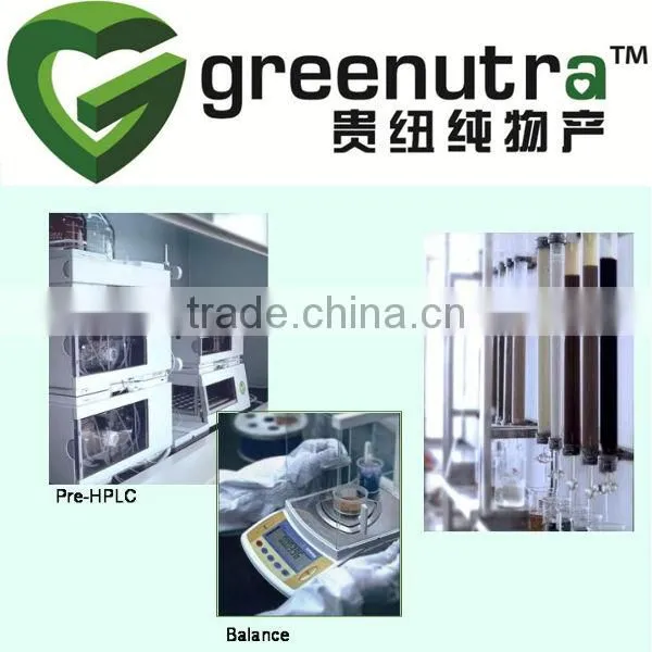 Stevia Extraction Unit