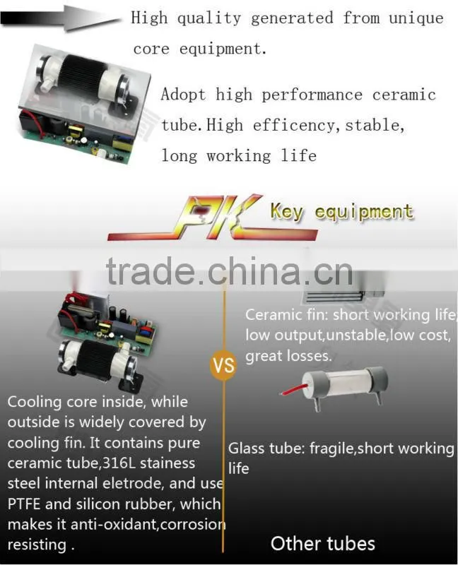 5-10G/Hr Ozone sterilizer for food or water