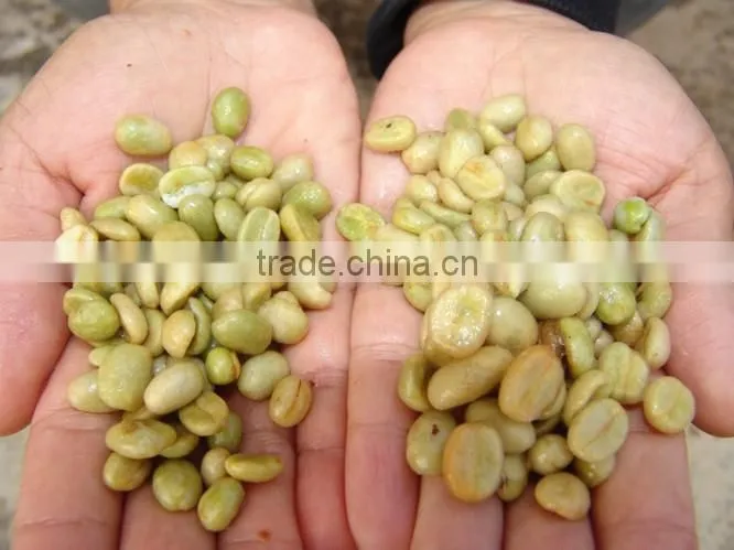 Green Coffee Bean Processing Machine