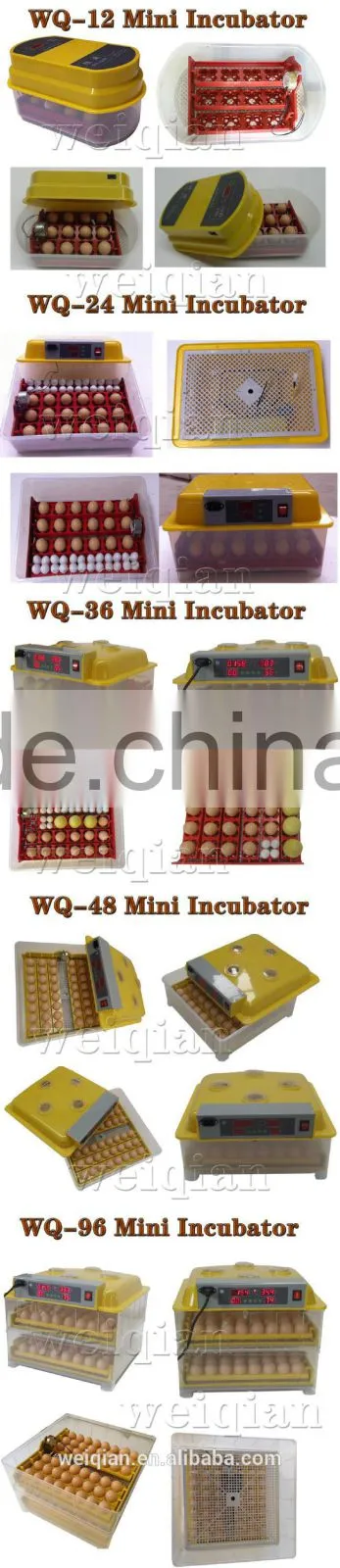 WQ-12 Capacity 12 eggs incubator for chicken & quail