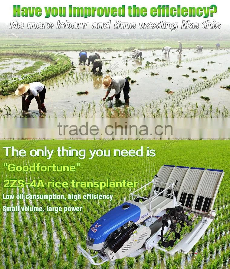 Manual Paddy Transplanter Manufacturer Chinese Factory Hand Paddy Planters Agricultural Machinery 2ZS-4A