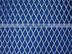 expanded mesh