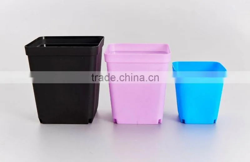 Flower Pot for succulent plant
