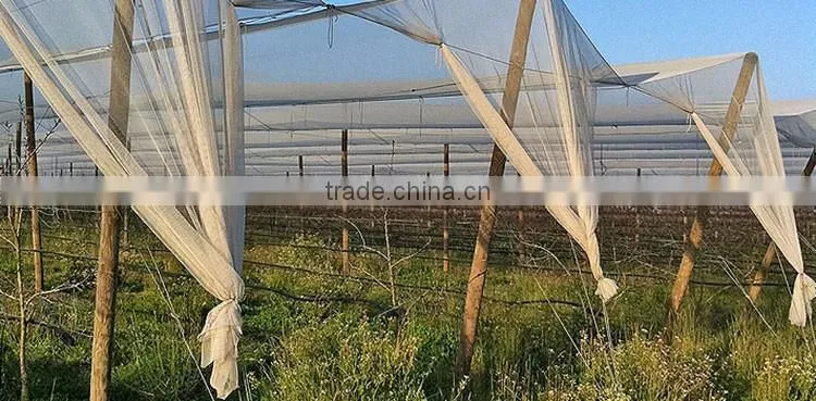 Functional nylon anti hail net machine produce grass protection mesh