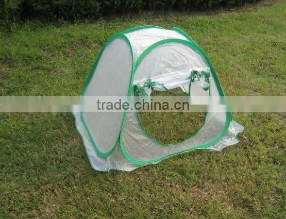 garden green house