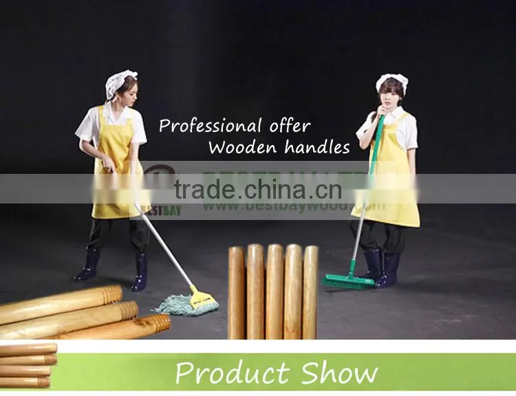 Painted long handle soft brush/cleaning brush with telescopic handle/car wash brush with long handle
