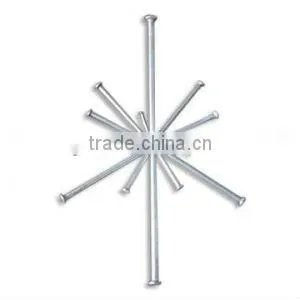 Galvanize Common nails/Wood nails in Shijiazhuang