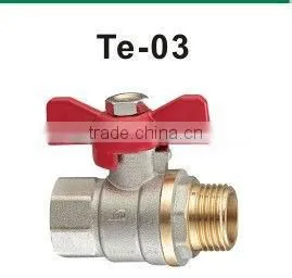 BRASS GATE VALVE