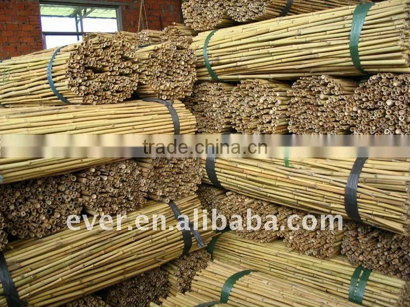bamboo pole