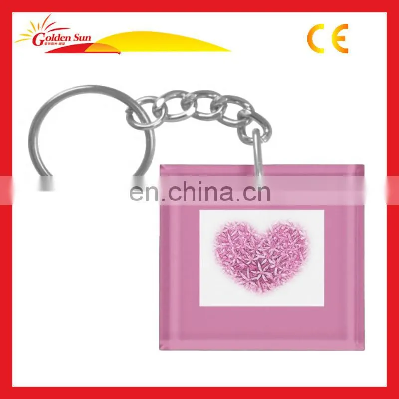 Promotion Eco-friendly Customized Acrylic Picture Keychain