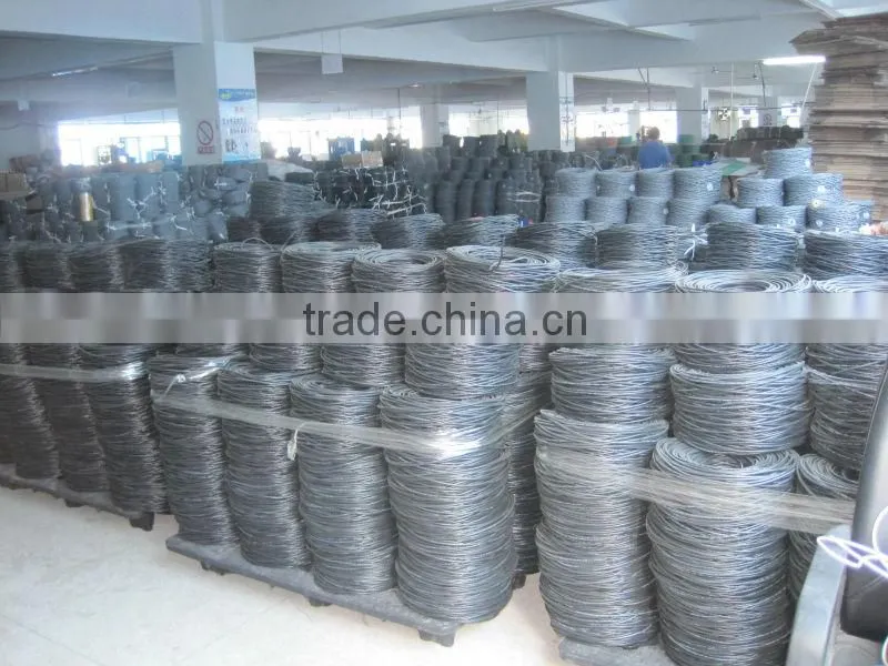 CAT6 UTP Fluke tested cables DTX-1800