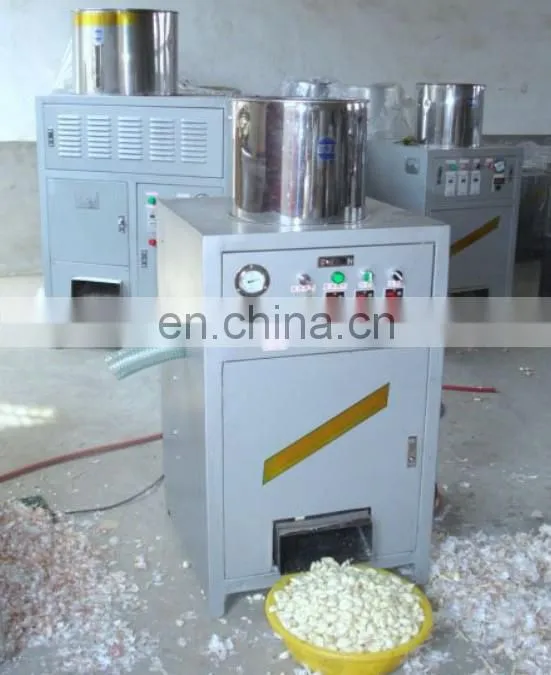 Electric garlic peeler machine