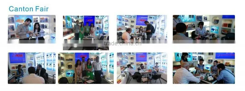 Accelerometer sensor function remote vehicle immobilizer manufacturer
