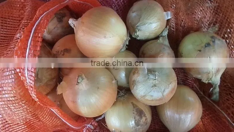 2015 crop fresh yellow onion supplier from China