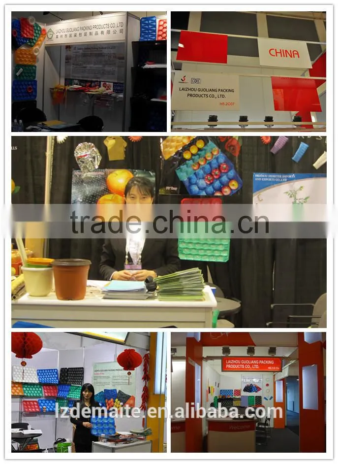 Fruit Growing Paper Bag,Fruit Growing Paper Bag Manufacturer