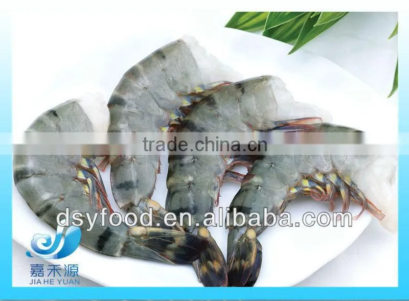Frozen large size tiger shrimp/pawn