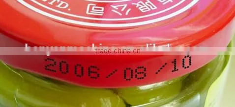 Hot Sale price date printter with ce 0086-18516303933