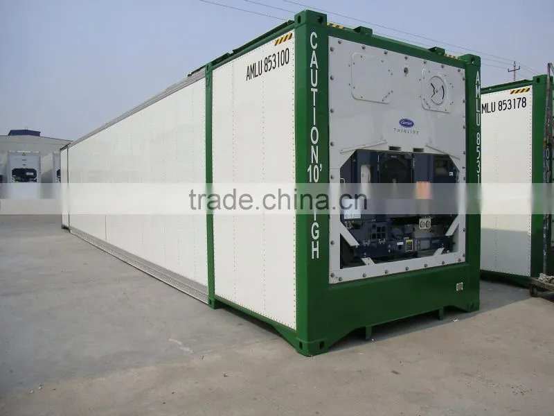 Special Reefer Container 48ft 53ft 45ft Reefer Container