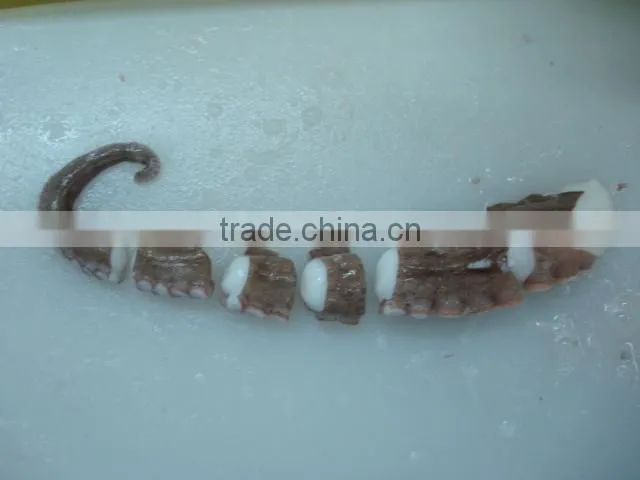 Frozen baby octopus whole