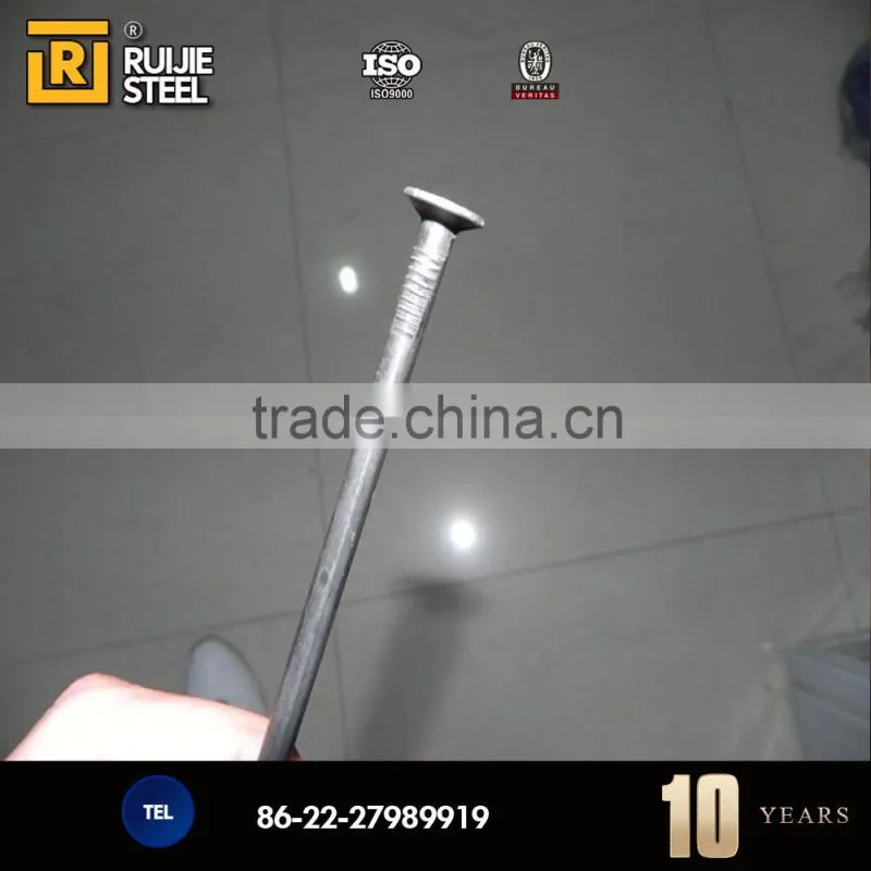 3'' Metal Electro Galvanized Iron Nials,Common Nails Smooth Shank Polised