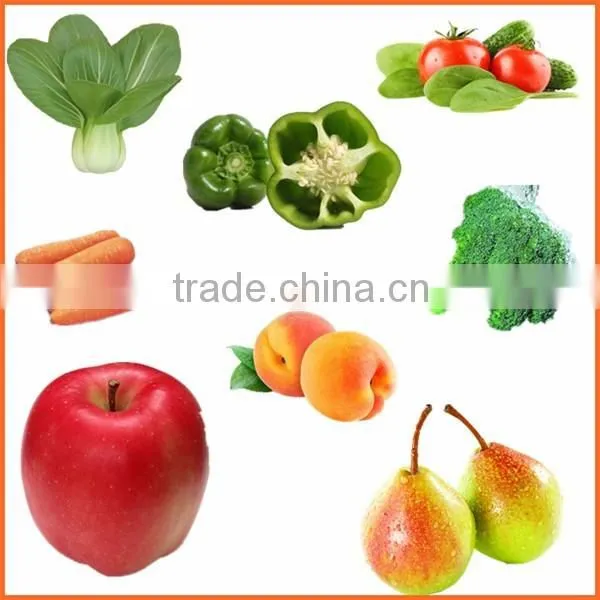 Zhengzhou Thrive brand vegetable carrot process machine/potato washing machine