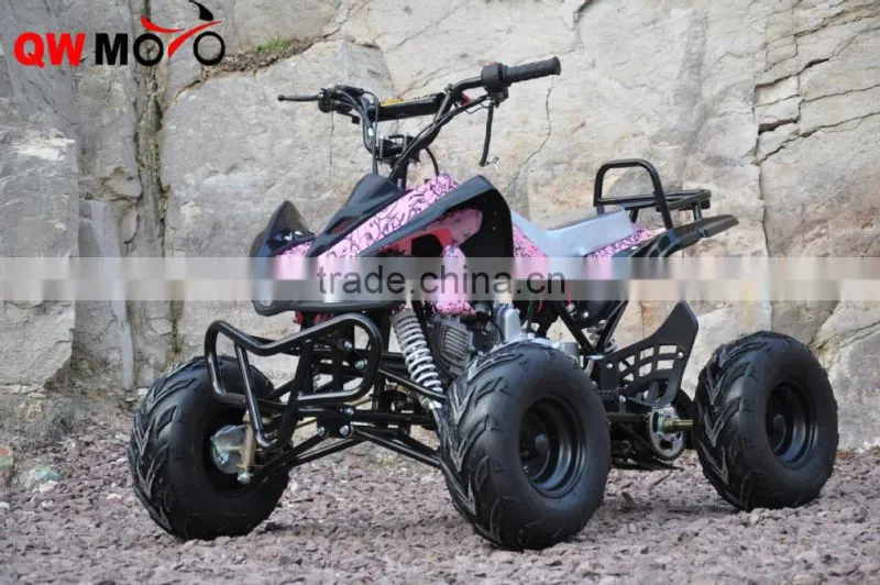 Hot Selling 36V 500W 800W 1000W Motor Electrical ATV Controller